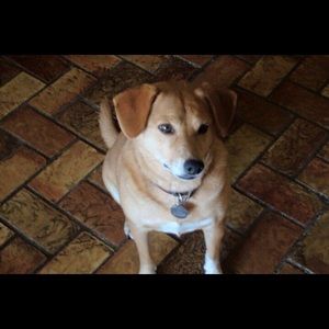 Meet your Posher, Kae